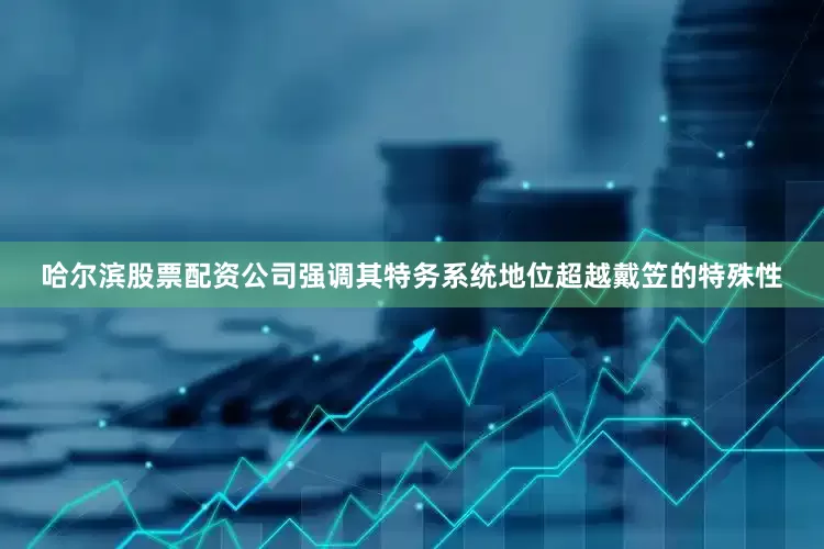哈尔滨股票配资公司强调其特务系统地位超越戴笠的特殊性