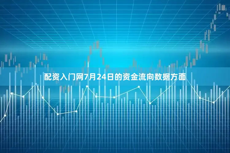 配资入门网7月24日的资金流向数据方面